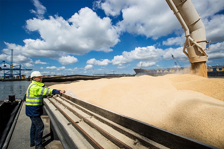 thumb nail dry bulk community NB