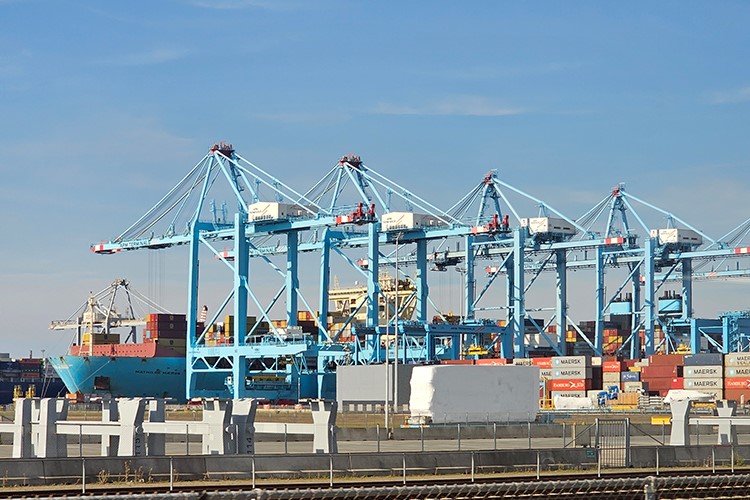thumbnail column maasvlakte