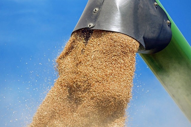 wheat-1508654_960_720.jpg