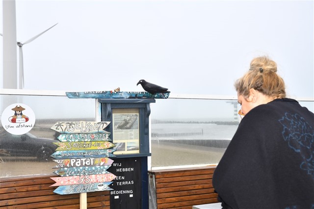 Port Rally HR 1 (51).jpg